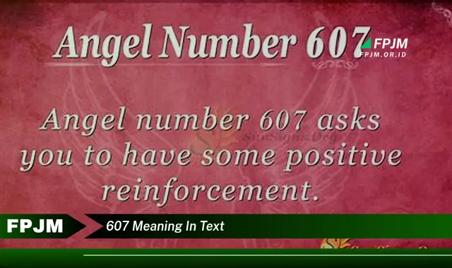 607 meaning in text