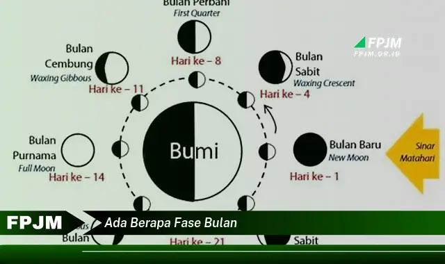 ada berapa fase bulan