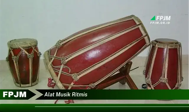 alat musik ritmis