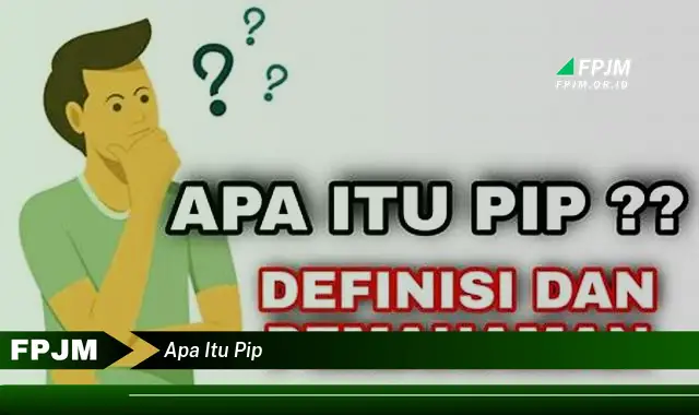 apa itu pip