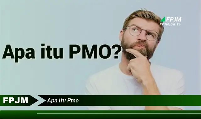 apa itu pmo