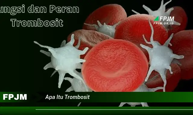 apa itu trombosit