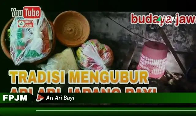 ari ari bayi