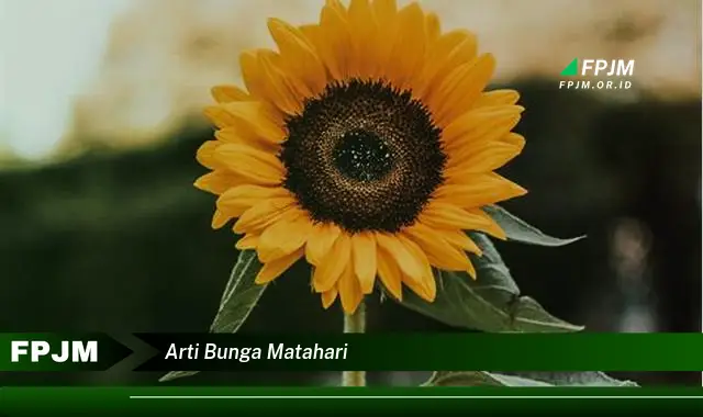 arti bunga matahari