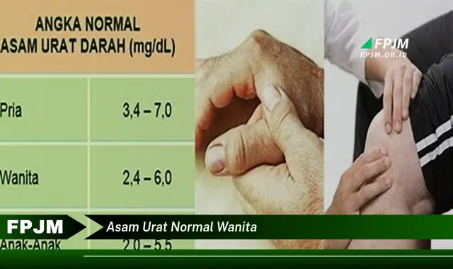 asam urat normal wanita