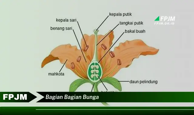 bagian bagian bunga