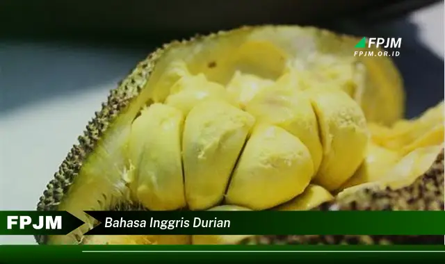 bahasa inggris durian