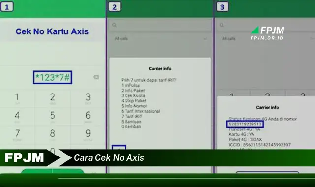 cara cek no axis