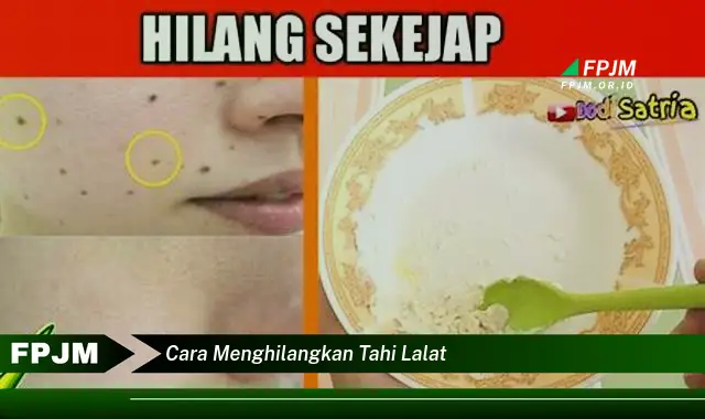 cara menghilangkan tahi lalat