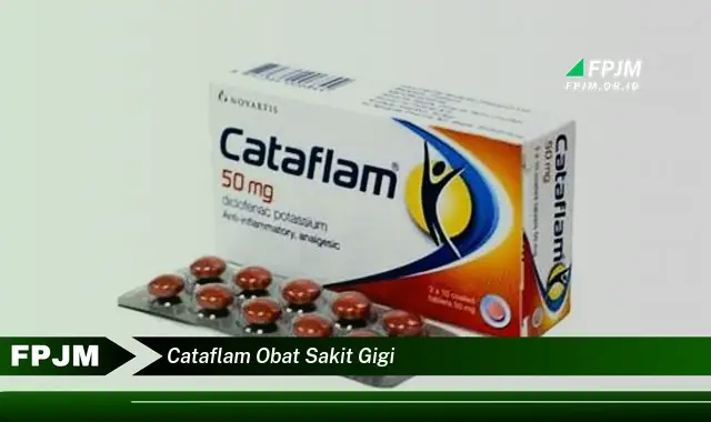 cataflam obat sakit gigi