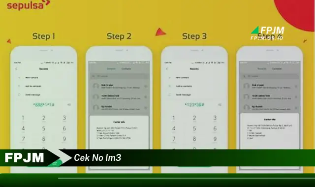 cek no im3