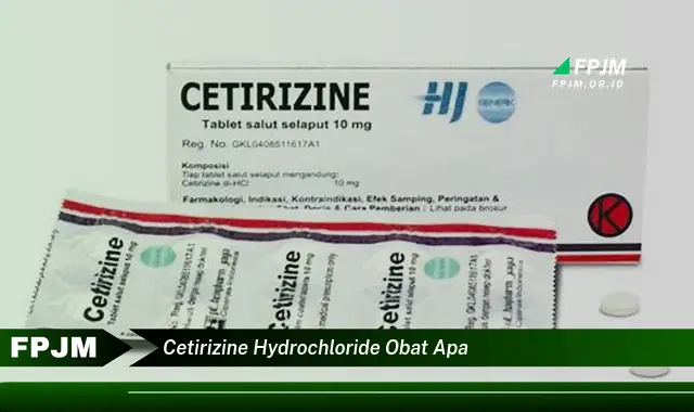 cetirizine hydrochloride obat apa