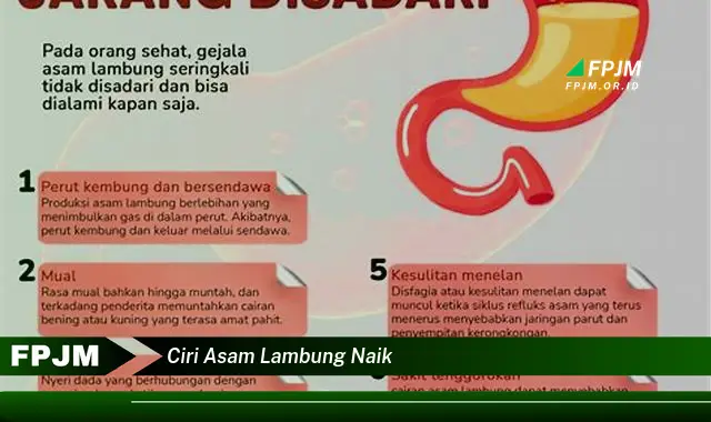 ciri asam lambung naik