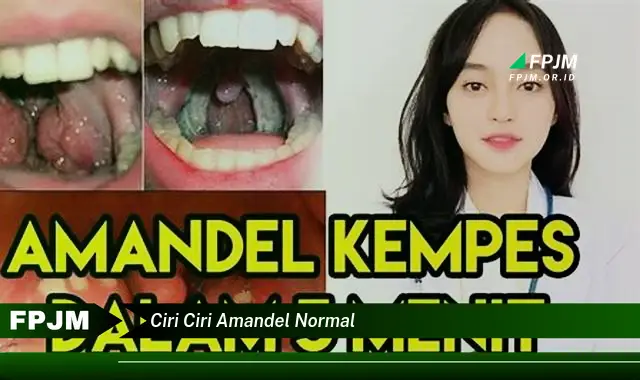 ciri ciri amandel normal