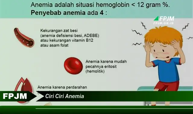 ciri ciri anemia