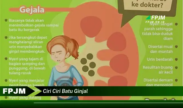 ciri ciri batu ginjal