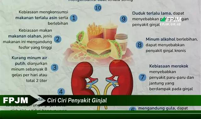 ciri ciri penyakit ginjal