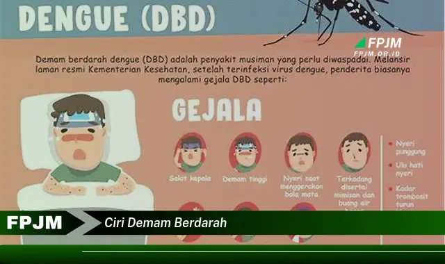 ciri demam berdarah