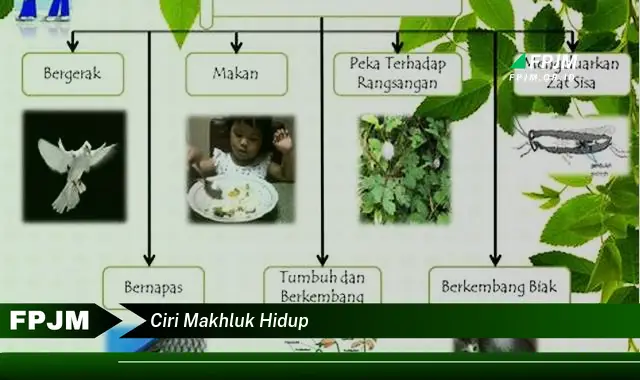 ciri makhluk hidup