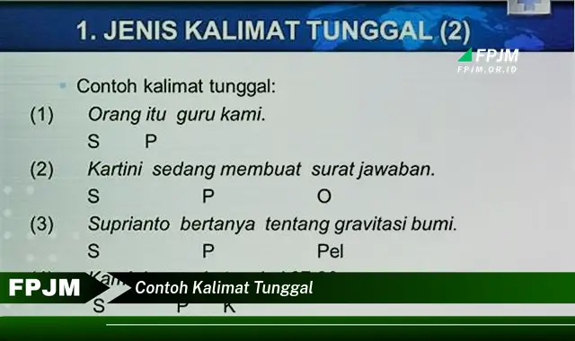 contoh kalimat tunggal