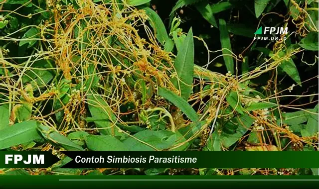 contoh simbiosis parasitisme