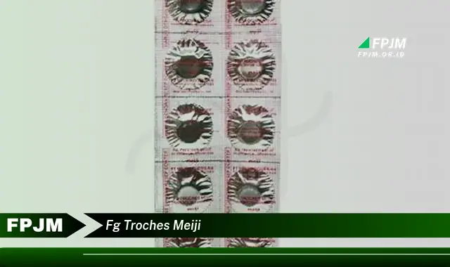 fg troches meiji