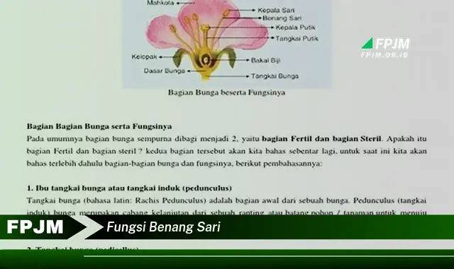 fungsi benang sari