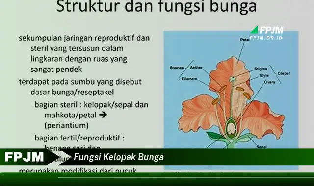fungsi kelopak bunga