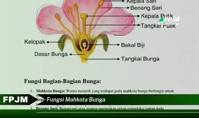 fungsi mahkota bunga