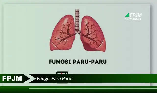 fungsi paru paru