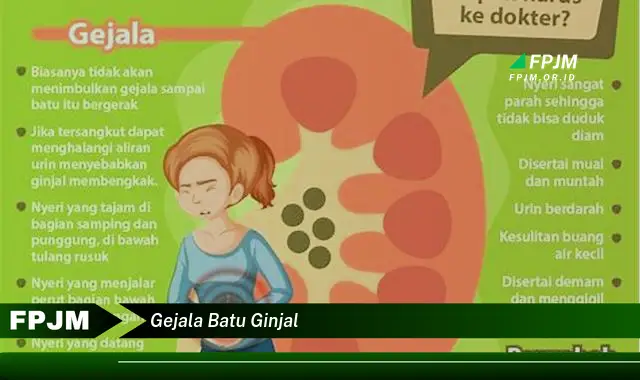 gejala batu ginjal