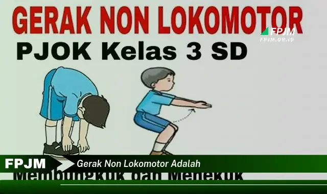 gerak non lokomotor adalah