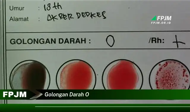 golongan darah o