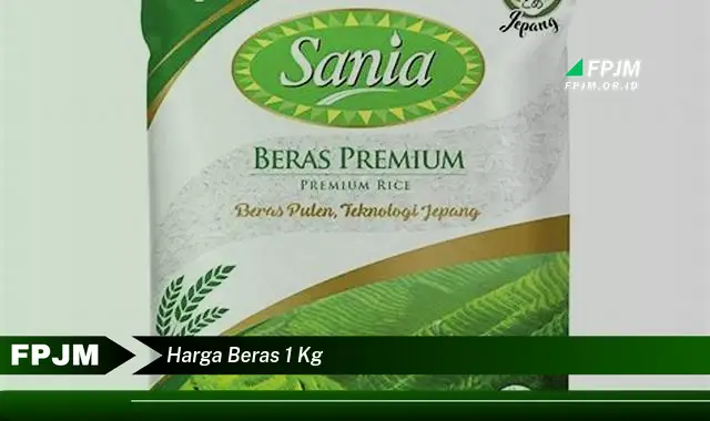 harga beras 1 kg