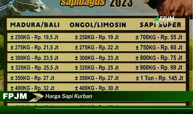 harga sapi kurban