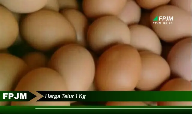 harga telur 1 kg