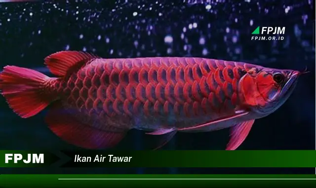 ikan air tawar