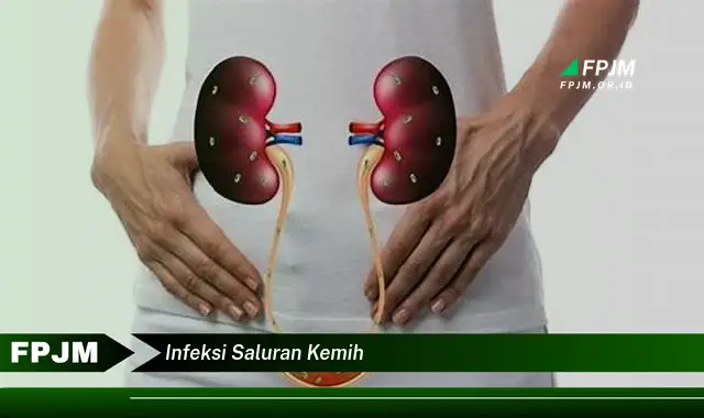 infeksi saluran kemih