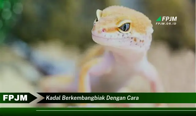 kadal berkembangbiak dengan cara