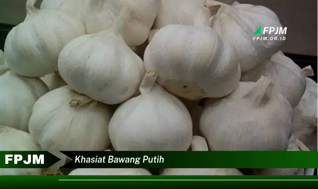 khasiat bawang putih