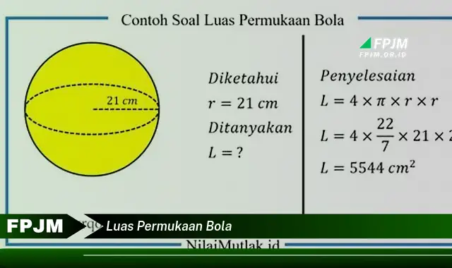 luas permukaan bola