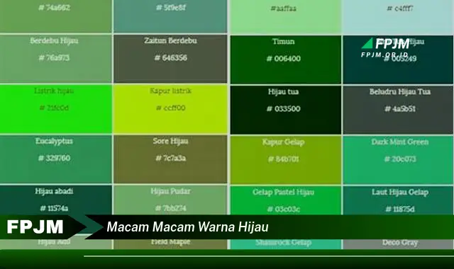 macam macam warna hijau