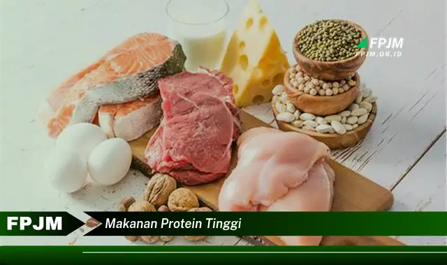 makanan protein tinggi