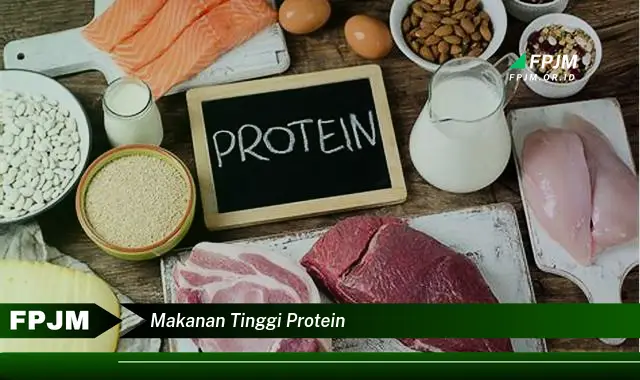 makanan tinggi protein