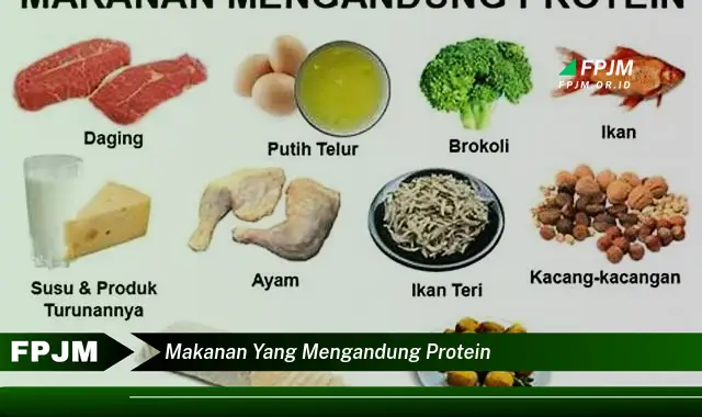 makanan yang mengandung protein