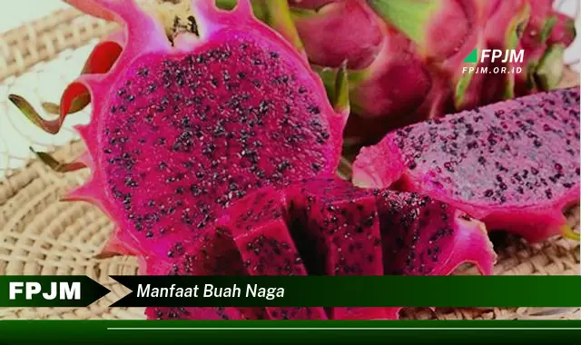 manfaat buah naga