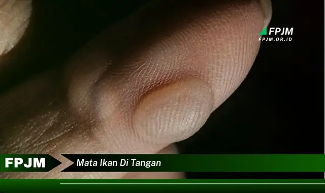 mata ikan di tangan