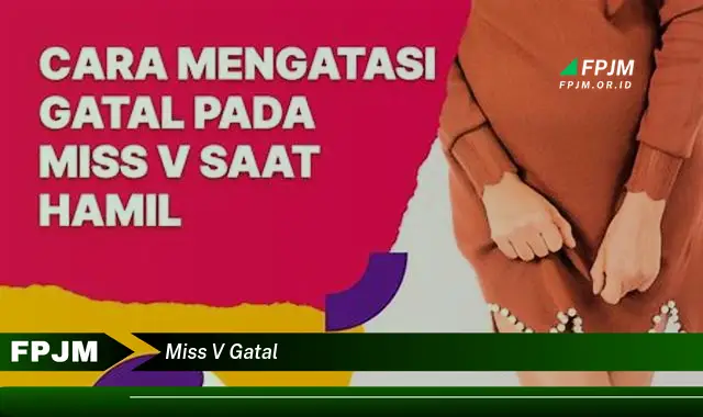 miss v gatal