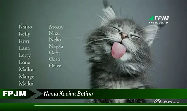 nama kucing betina