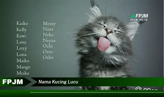 nama kucing lucu